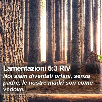 Lamentazioni 5:3 RIV Bible Verse Image