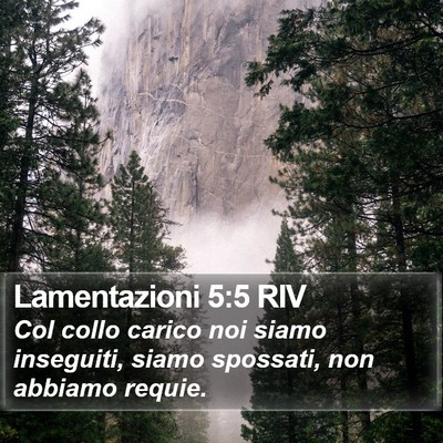 Lamentazioni 5:5 RIV Bible Verse Image