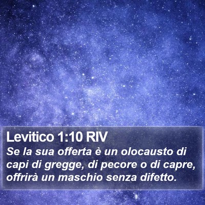 Levitico 1:10 RIV Bible Verse Image