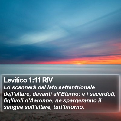 Levitico 1:11 RIV Bible Verse Image