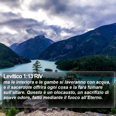 Levitico 1:13 RIV Bible Verse Image