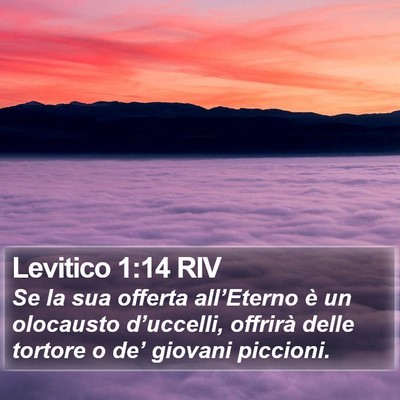 Levitico 1:14 RIV Bible Verse Image