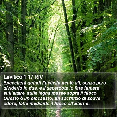 Levitico 1:17 RIV Bible Verse Image