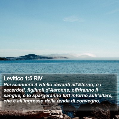 Levitico 1:5 RIV Bible Verse Image