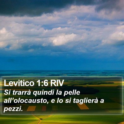 Levitico 1:6 RIV Bible Verse Image