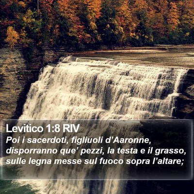 Levitico 1:8 RIV Bible Verse Image