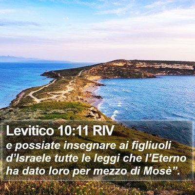 Levitico 10:11 RIV Bible Verse Image