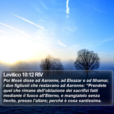 Levitico 10:12 RIV Bible Verse Image