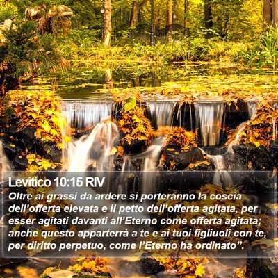 Levitico 10:15 RIV Bible Verse Image