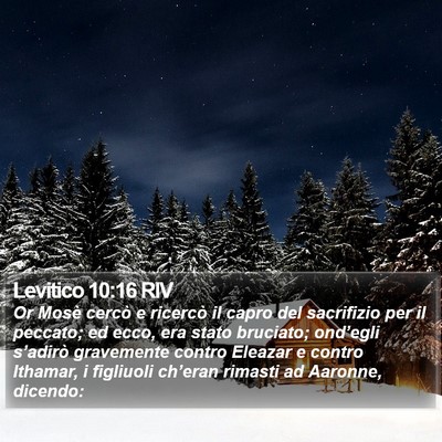 Levitico 10:16 RIV Bible Verse Image
