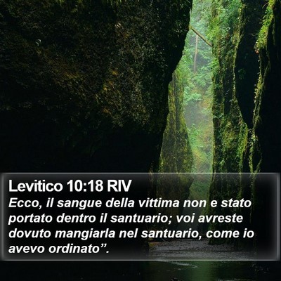 Levitico 10:18 RIV Bible Verse Image