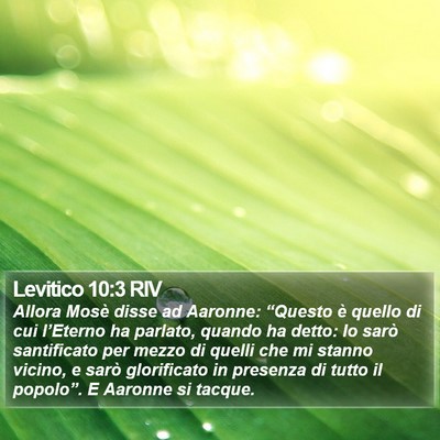Levitico 10:3 RIV Bible Verse Image