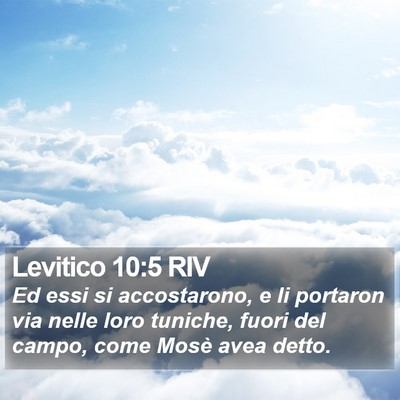 Levitico 10:5 RIV Bible Verse Image