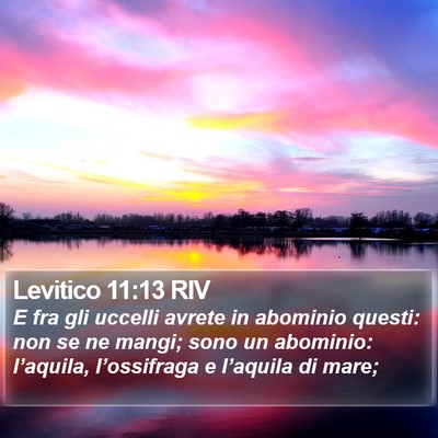 Levitico 11:13 RIV Bible Verse Image