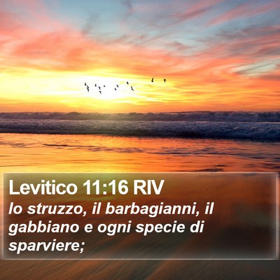 Levitico 11:16 RIV Bible Verse Image