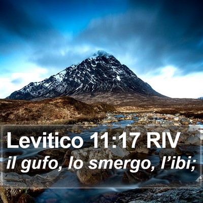 Levitico 11:17 RIV Bible Verse Image