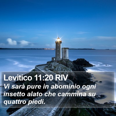 Levitico 11:20 RIV Bible Verse Image