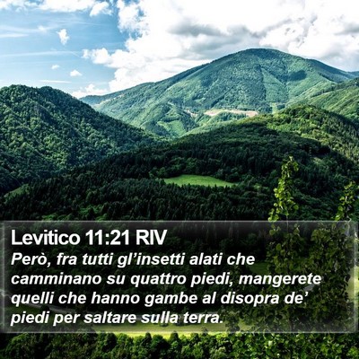 Levitico 11:21 RIV Bible Verse Image