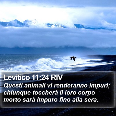Levitico 11:24 RIV Bible Verse Image