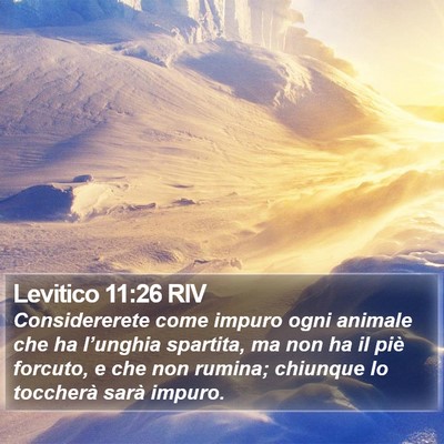 Levitico 11:26 RIV Bible Verse Image