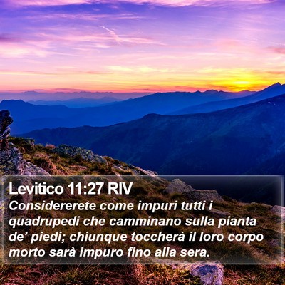 Levitico 11:27 RIV Bible Verse Image