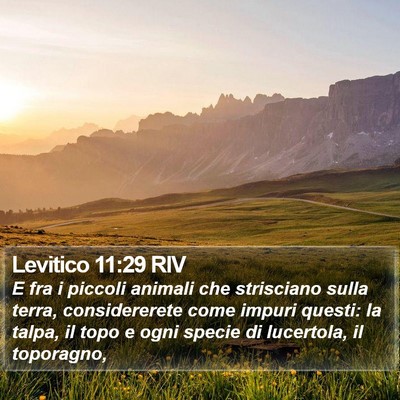 Levitico 11:29 RIV Bible Verse Image