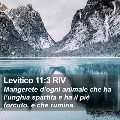 Levitico 11:3 RIV Bible Verse Image