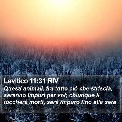 Levitico 11:31 RIV Bible Verse Image