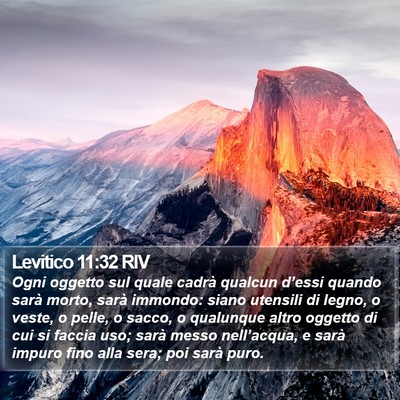 Levitico 11:32 RIV Bible Verse Image