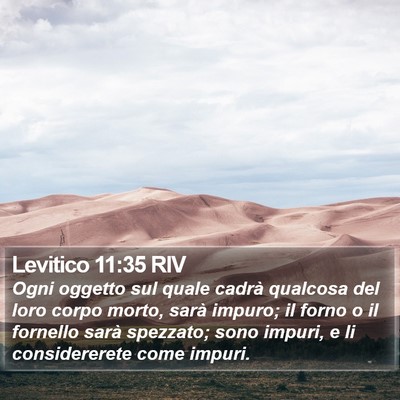 Levitico 11:35 RIV Bible Verse Image