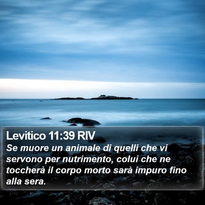 Levitico 11:39 RIV Bible Verse Image