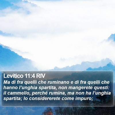 Levitico 11:4 RIV Bible Verse Image