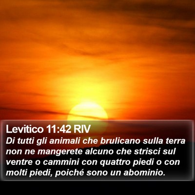 Levitico 11:42 RIV Bible Verse Image