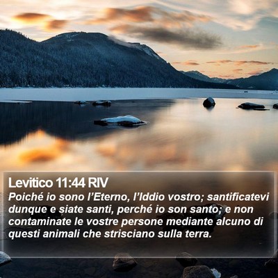 Levitico 11:44 RIV Bible Verse Image