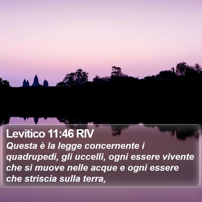 Levitico 11:46 RIV Bible Verse Image