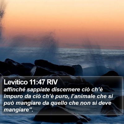 Levitico 11:47 RIV Bible Verse Image