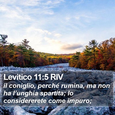 Levitico 11:5 RIV Bible Verse Image