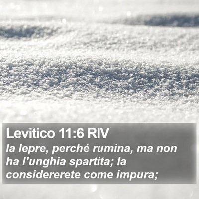 Levitico 11:6 RIV Bible Verse Image