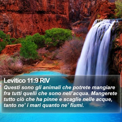 Levitico 11:9 RIV Bible Verse Image