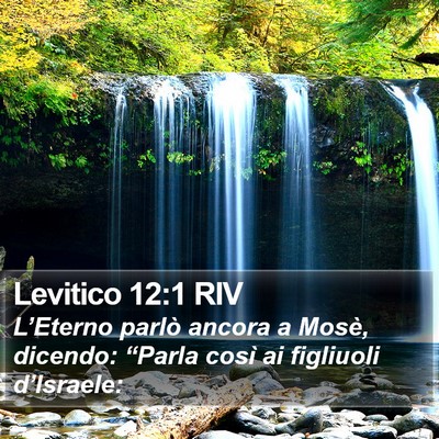 Levitico 12:1 RIV Bible Verse Image