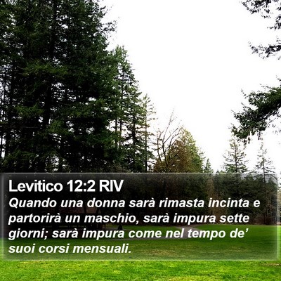 Levitico 12:2 RIV Bible Verse Image