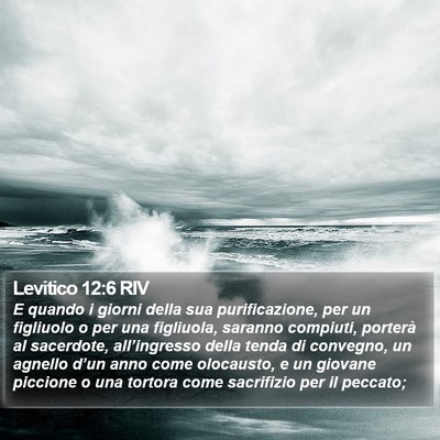 Levitico 12:6 RIV Bible Verse Image
