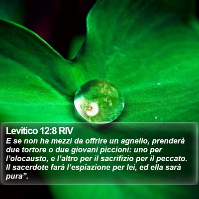 Levitico 12:8 RIV Bible Verse Image