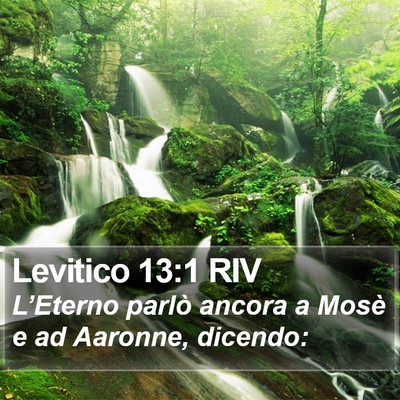 Levitico 13:1 RIV Bible Verse Image