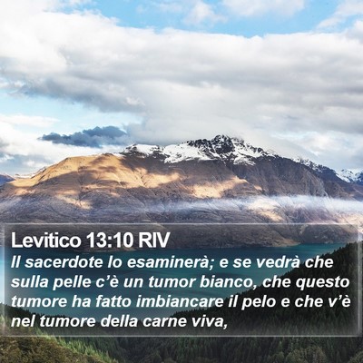 Levitico 13:10 RIV Bible Verse Image