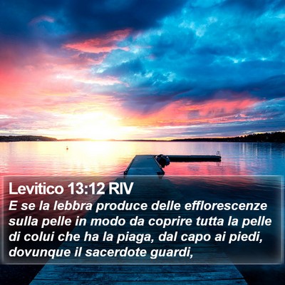 Levitico 13:12 RIV Bible Verse Image