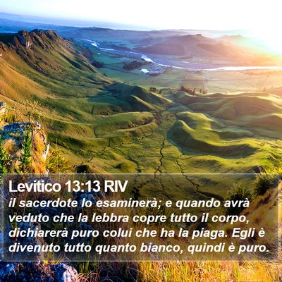 Levitico 13:13 RIV Bible Verse Image