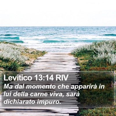 Levitico 13:14 RIV Bible Verse Image