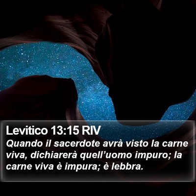 Levitico 13:15 RIV Bible Verse Image