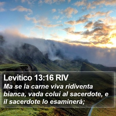 Levitico 13:16 RIV Bible Verse Image